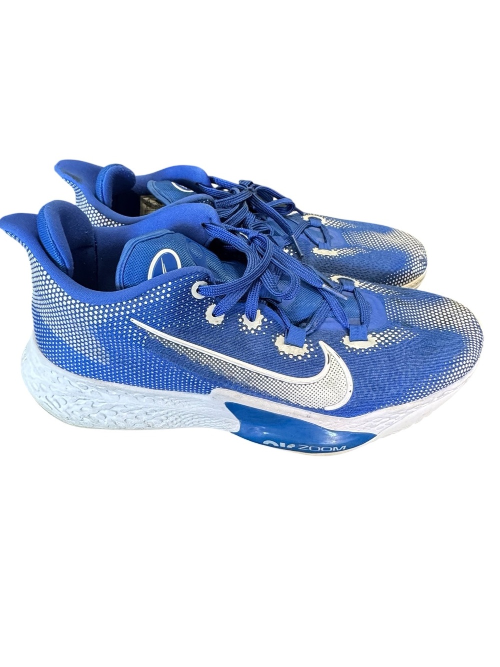 Nike ZOOM High End BB NXT TB 'GAME ROYAL' Blue Basketball Shoes Men’s 14 NICE